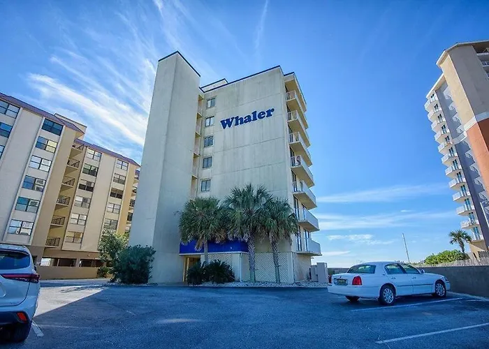 The Whaler B3 By Collection *