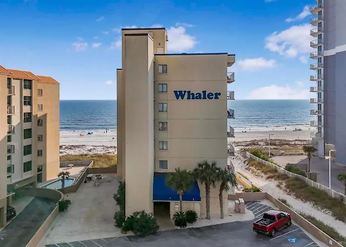 The Whaler B3 By Collection *